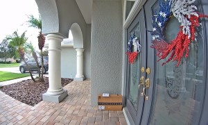 Iguana Showed Up at My Door