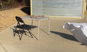 Bugatti Table Cloth Pull