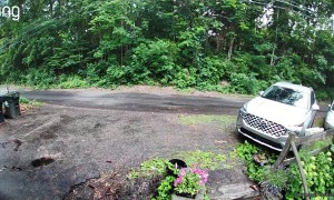 Man Startled By Bear On His Way Out