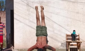 Pup Becomes Victim of Push-Up Fail