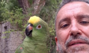 Parrot Imitates Animal Sounds