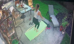 Backyard Squirrel Yoga