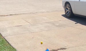 Drone Delivers Groceries