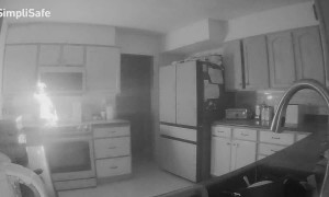 Dog Starts Kitchen Fire In Colorado Springs