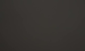 Dog Jumps Out of Moving Car's Window