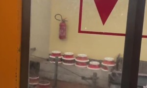 Elevator Ride Turns Into Unexpected Journey