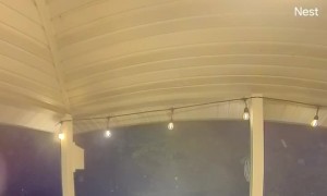 Porch Railing Gives Out