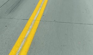 Squirrel Stowaway On Truck Bumper
