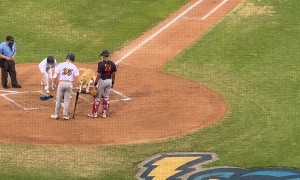 Golden Retriever Bat Boy