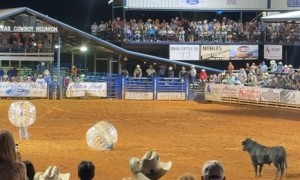 Knocker Bull Contestant Goes Flying