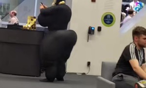 Unusual Costume Spotted At Furry Convention