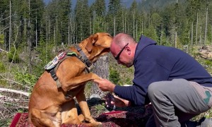 Man Uses Honey to Distract Dog During Nail Trim