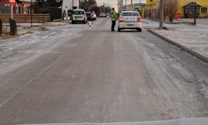 Penguin Walks Through City Streets in Argentina