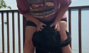 Lab Stomps For Butt Scratches