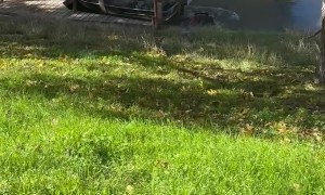 Lawn Mower Takes a Swim