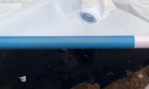 Puppy Wears The Pool