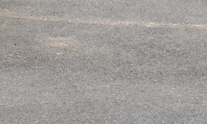 Rat Turns The Tables On Cat