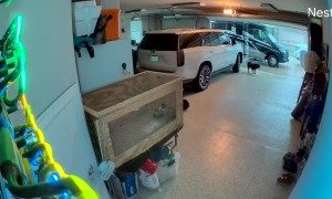 Man Slips and Falls on Wet Garage Floor