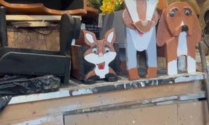 Funny DIY Animal Planters