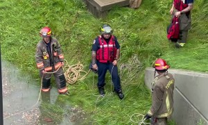 Flooding On Toronto Freeway