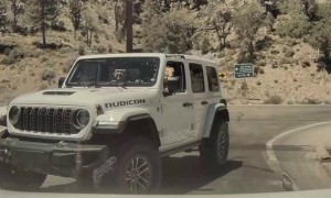 Tesla Camera Captures Apparent Hit and Run