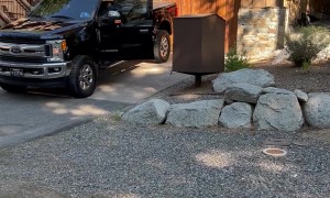 That Bear Just Opened That Door!