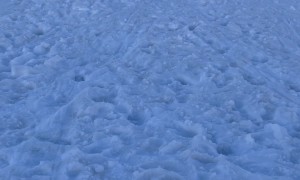 Dad Avoids Sledding Collision