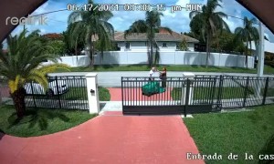 Trash Bin Got The Best Of Abuelo