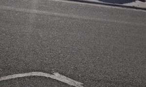Woman Saves Ducklings From Storm Drain