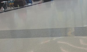 Passengers Contend With Delays During Global Computer Outage