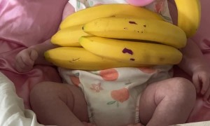 Bananas Hold Up Baby Bottle