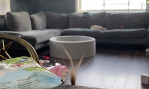 Girl's Hairdo Gives Her Away