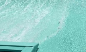 Woman Swept Away On Waterpark Surf Simulator