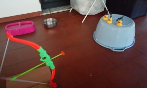 Pug Hits Rubber Ducky With Toy Bow and Arrow