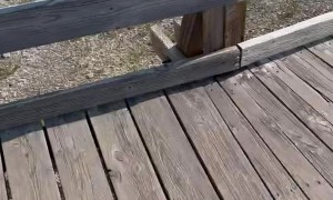 Biscuit Basin Hydrothermal Explosion