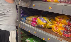 The Things We Do For Our Pets