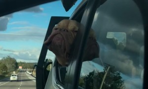 Duncan's Lips Flap In The Wind