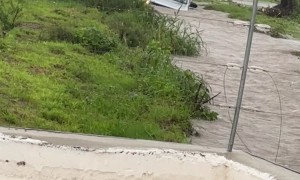 Box Truck Drivers Through Flooded Road