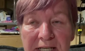 Kitten Interrupts a Serious Story