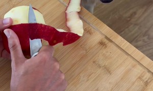 Golden Retriever Garbage Disposal System