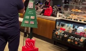 Fight Breaks Out at NYC Starbucks
