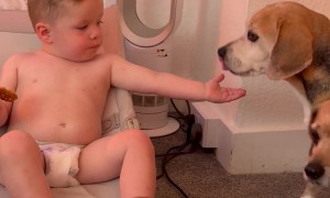 Like Stealing Candy From a Baby