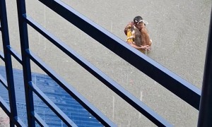 Idol Carries Dogs Through Waist-High Floodwater