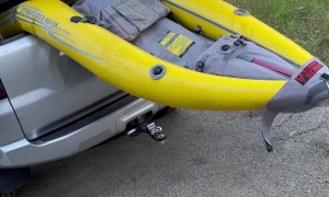 Guilty Bear Found In Backseat