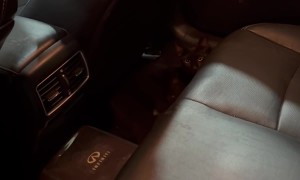 Hide-and-Seek With a Black Cat