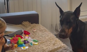 Doberman and Girl Eat Ice Cream Together