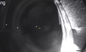 Snake Slithers Across Doorbell Camera