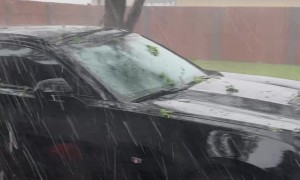 Mopping Woman Screams At Outside Hail