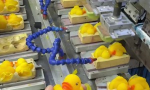 How Rubber Ducks Are Made