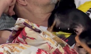 Dad Cuddles Favorite Dog Daughter